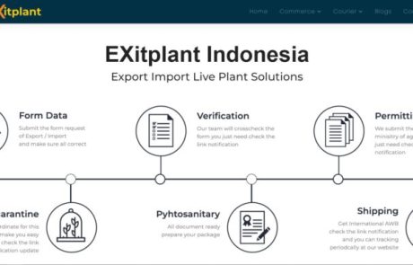 exitplant-1-800×389
